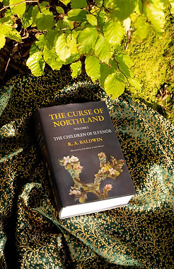 Book cover of The Curse of Northland Volume I: The Children of Ilvenór by R. A. Baldwin