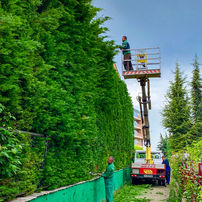 озеленяване