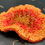Miniatura: Camélia Bordada Broche Tangerina