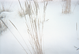 260427 Csejtei 005_edited.png