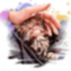 chaton