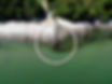 iStock-1498414886.jpg