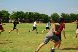 SET DALLAS 2010