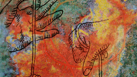 Rooting and interconnection of the systems (Selection) 2005