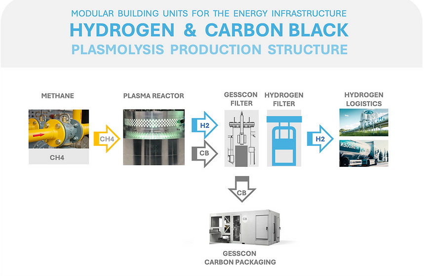 HYBON_Plasmolysis_Structure.png