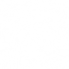 white doodle background.png