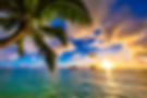 TO PARADISE AND BACK