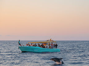 Flyloops fotografía con dron para empresas en Mallorca Alcudia