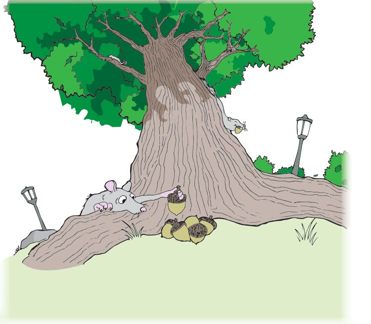 Illustration for "Fluffless: A Squirrel's Tail"