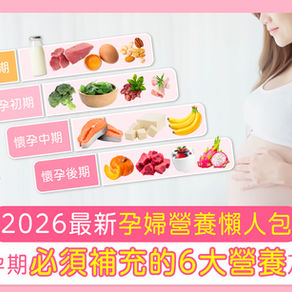 【2026最新】孕婦營養懶人包 孕婦懷孕期「必須」補充的6大營養及時間表|懷孕前檢查|藥劑師建議清單