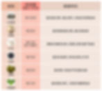 6 大類高鈣食物