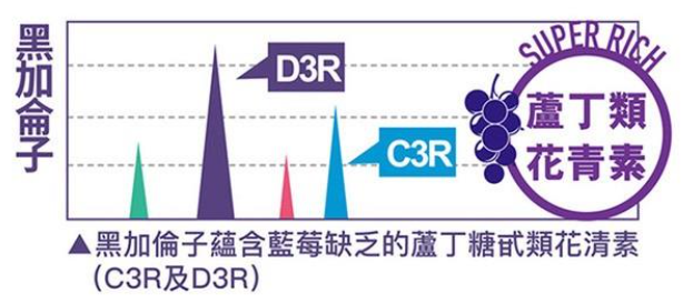黑加侖子比藍莓含更高濃度D3R及C3R花青素