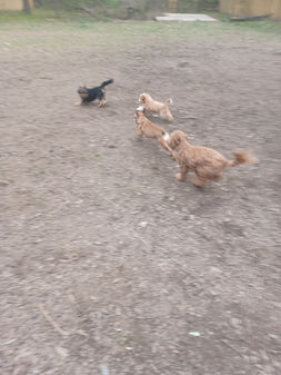 Resized_20230316_090616.jpeg