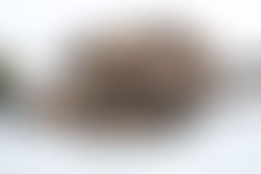 Location Chalet de Luxe - Tignes