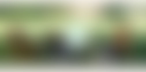 Location Gîtes - Sologne