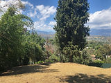 IMG_0106.jpg