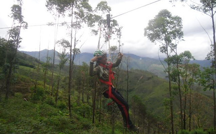 CANOPY.jpg