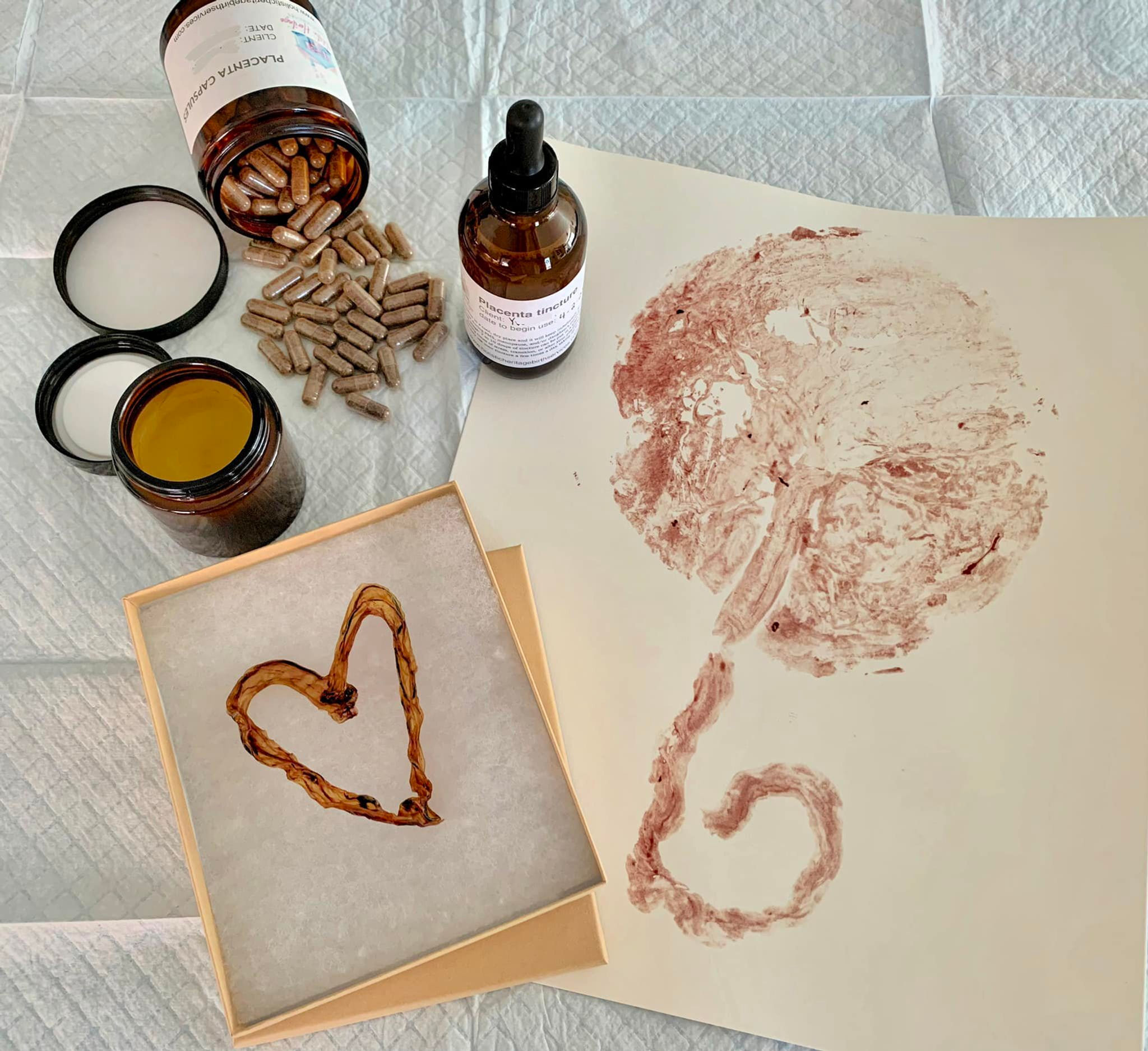 Placenta encapsulation kit includes: