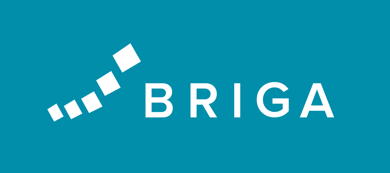 briga-logo-pms3135.gif
