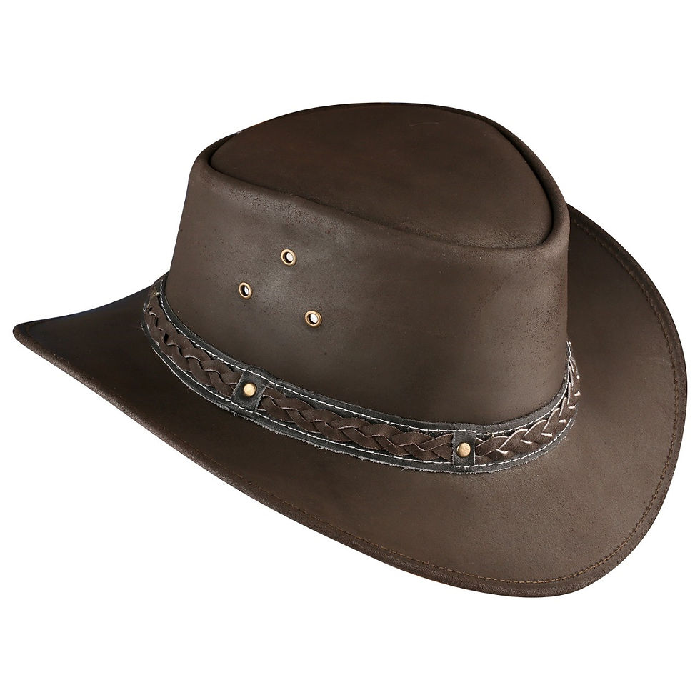Miniatura: Brown Rixom Black Band Hat