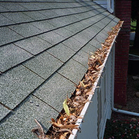 Gutters filled (1).gif