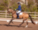JALR260503KL_2F2A4418SM_Leuenberger.jpg