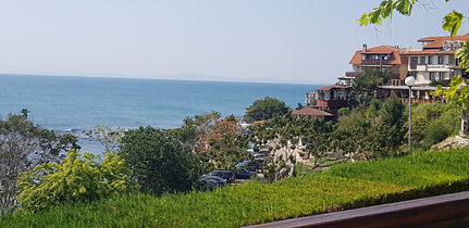 20190823_110632.jpg