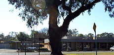 Murchison_Community_Centre.jpg