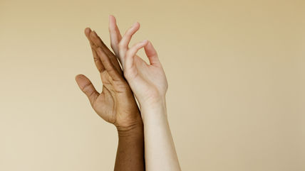 Nova Explicação dos Pássaros