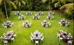 reception set up garden