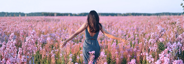 Flower Essence Therapy