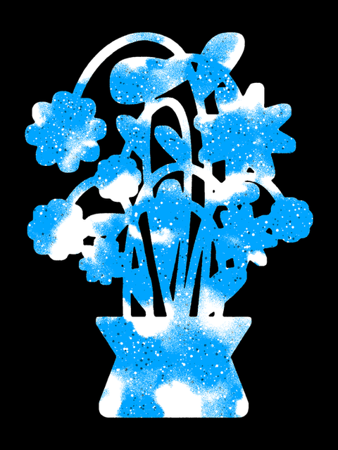 Winter Bloom