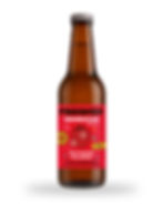 froonzy kombucha mürver çilek