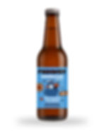 froonzy kombucha