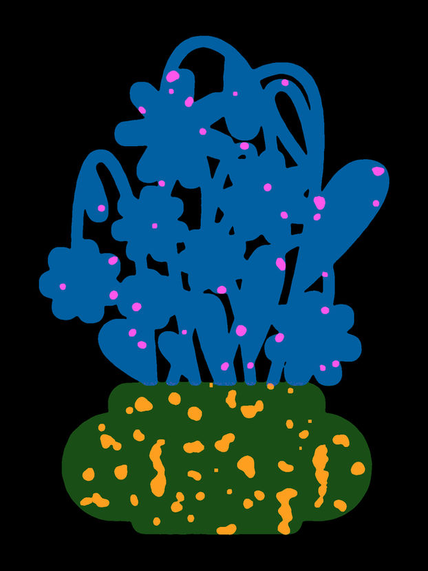 Plant by kemal sanli