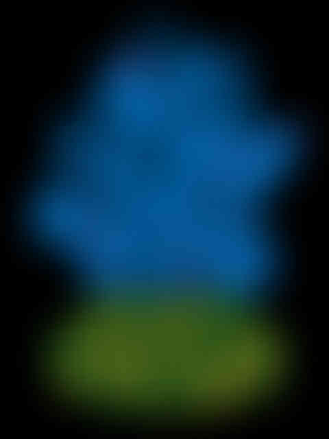 Plant by kemal sanli