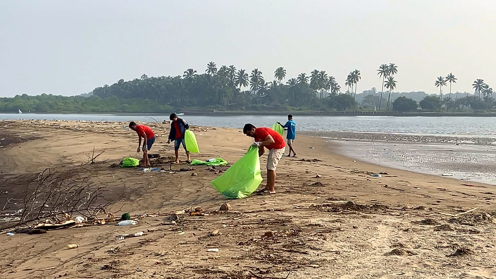 Manta Cruise Goa team cleaning up a beach in Goa