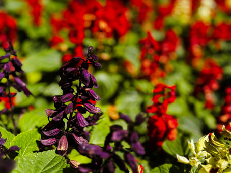 Trazer para dentro o que insistimos em procurar fora