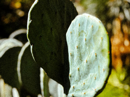 ✨ Desejo vs. Expectativa ✨