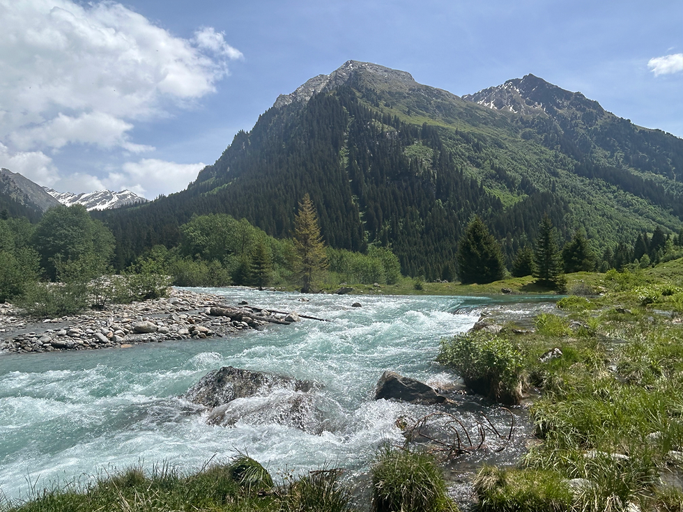Berg bild.HEIC