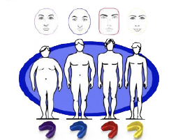 Thumbnail: AMCOP Bio-Activators SC Model Class 2 SC1 to SC5 Orange