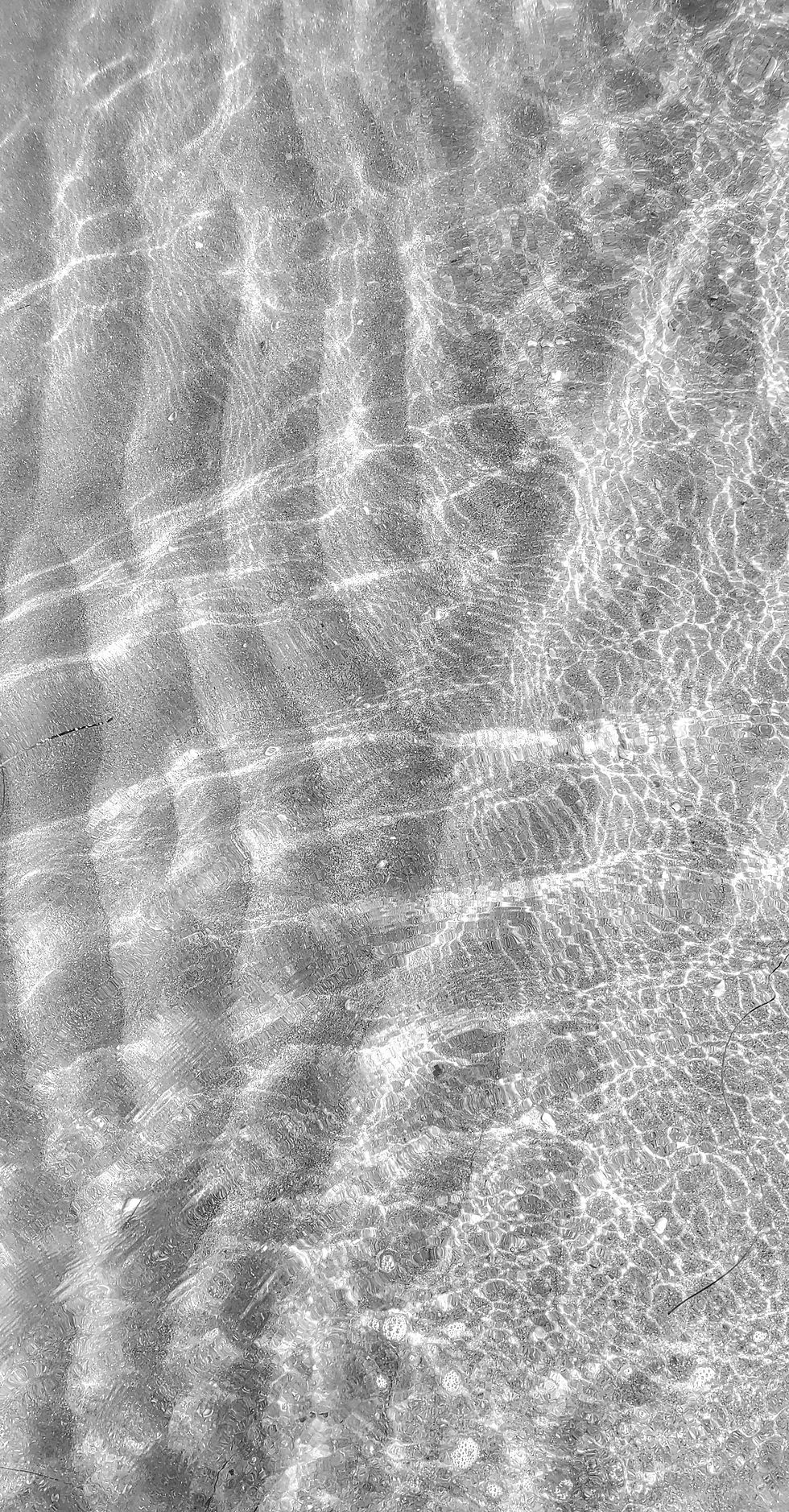 20221017_084022.jpg
