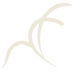 concept art ELY logo_edited_edited.png