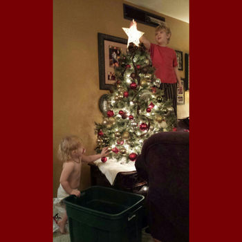 Trimmed Tree