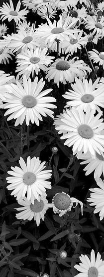 20210417_141342.jpg