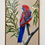 Miniature : Crimson Rosella in Flowering Eucalyptus