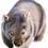 Thumbnail: Gutsy the Wombat Illustration Sticker 