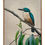Miniature : Sacred Kingfisher in Riverside Gum