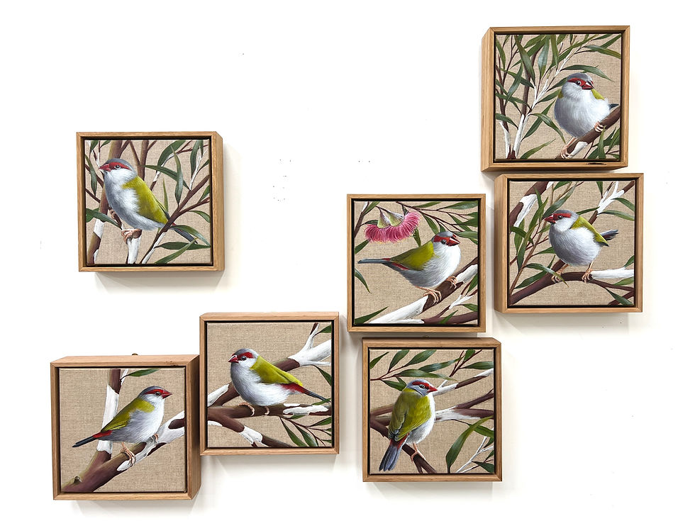 Red Browed Finches (polyptych of 7 paintings)