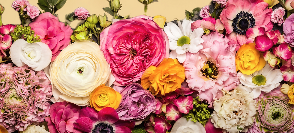 Various flowers on black background_edited_edited_edited.png